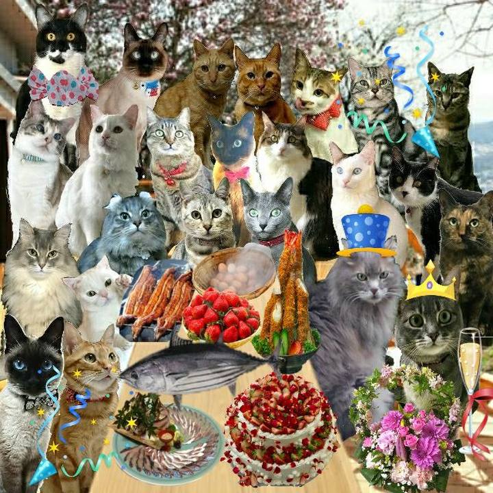 1a759198 2688 4715 89c0 109e79a36d28 1528635959244