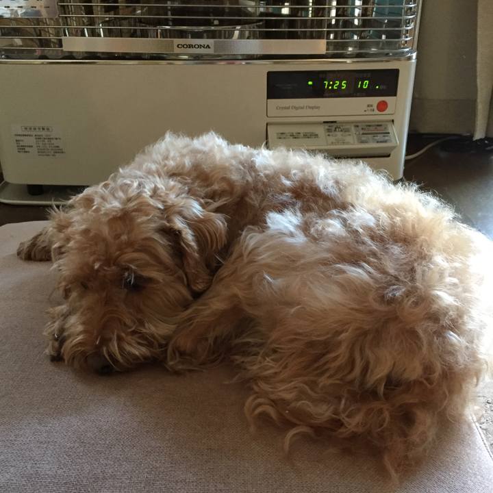 1a75a7ce ccc3 4ff6 82b9 476b5908dd2e 1522621625298