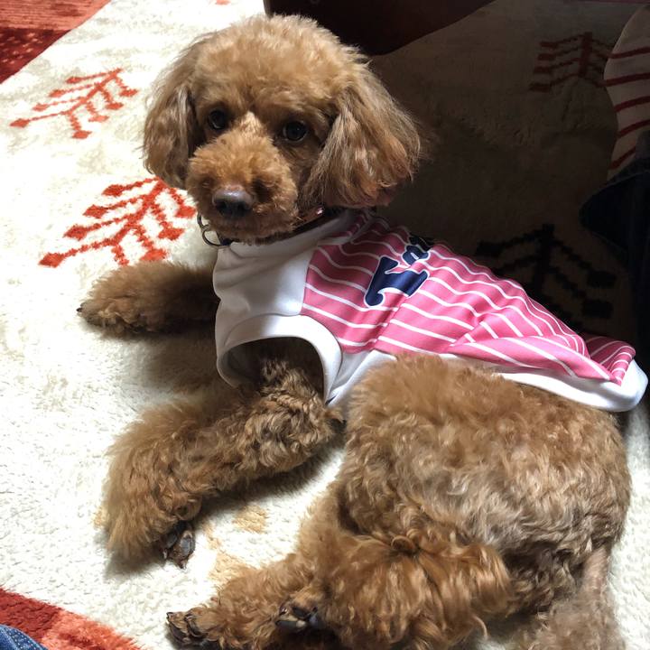 1a75a9da 94b1 4ed4 b934 8851fc8160e5 1557399435155