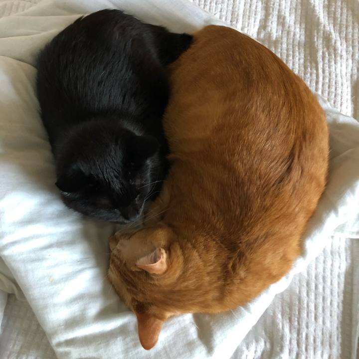 1a75b0fa d07e 49cb bb90 ddaee00a4850 1599951406636