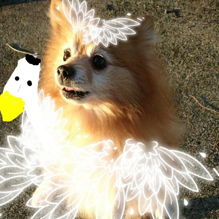 1a75bccc b617 4c2b 8d94 c78e1fc722d2 1536491509807