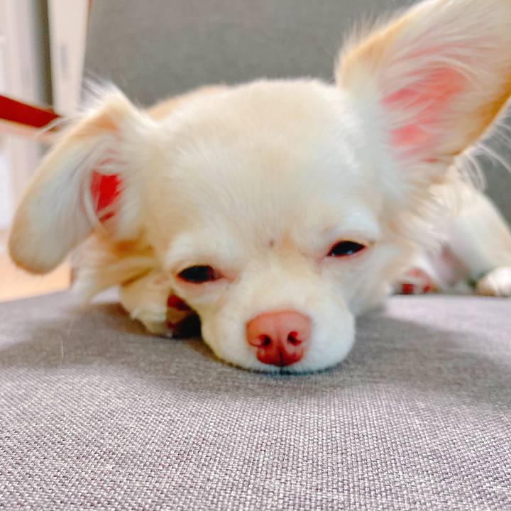 1a75de5c f255 4504 91e8 eee63a5547fb 1636620645869