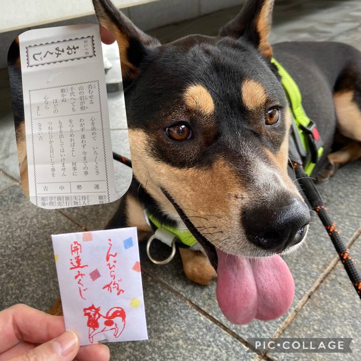 1a75e448 1a26 4b7a ab11 8f85942a0ace 1635327995593