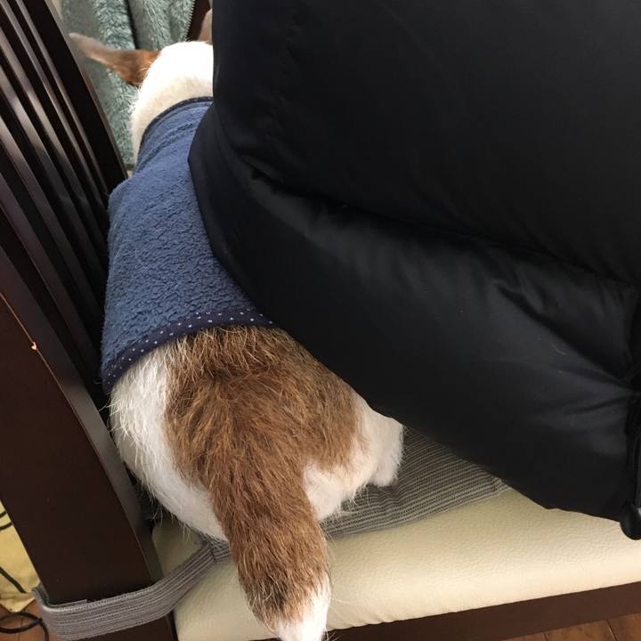 1a75e738 e845 4610 adcc 2b03af841fd1 1579911733549