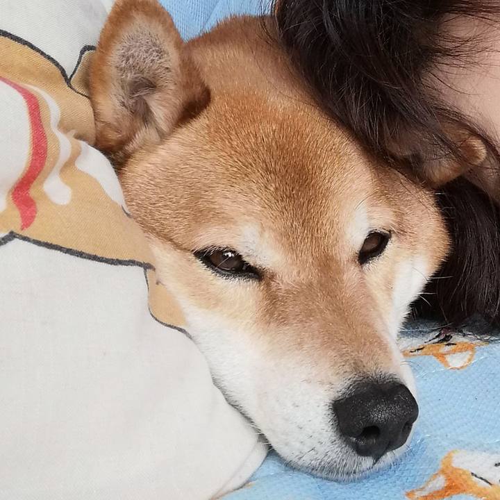 1a75efda f934 404e 951a 615f0b84c8a8 1617240271110