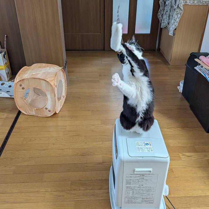 1a762295 a4b8 423d 89f2 0750b0ac2d09 1775004089933