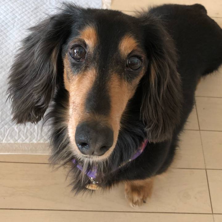 1a762a17 f48b 41b2 9525 d97c38d850d3 1555029671437