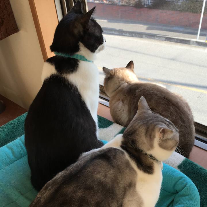 1a763954 4712 419e aa52 94a50eab6549 1516494462095