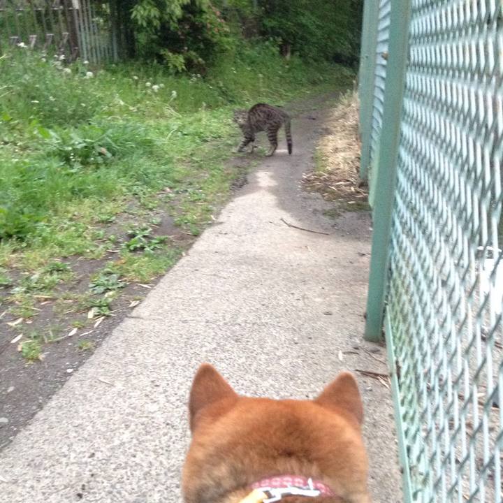 1a765411 8151 4787 9efe 3920e70efa1c 1524648546125