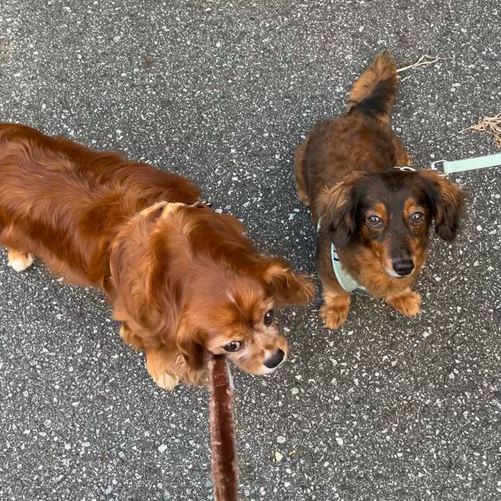 1a766456 7819 4c08 b80e badcf1d7b581 1694991082832