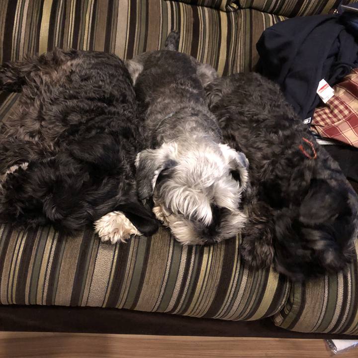 1a766989 670f 4820 b462 bd1756667287 1552053354380