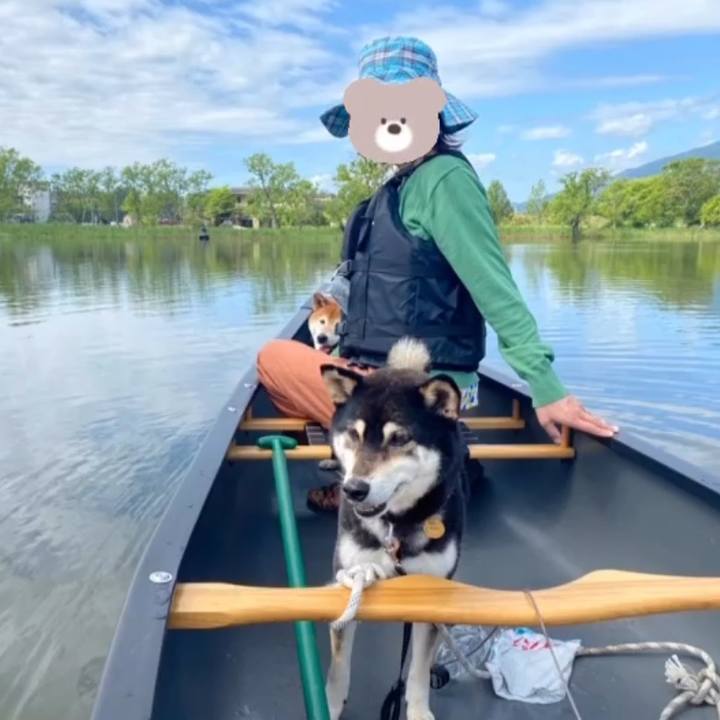 1a767df3 5dcf 43e3 af7f 2b2db69fe4ca 1651993620119