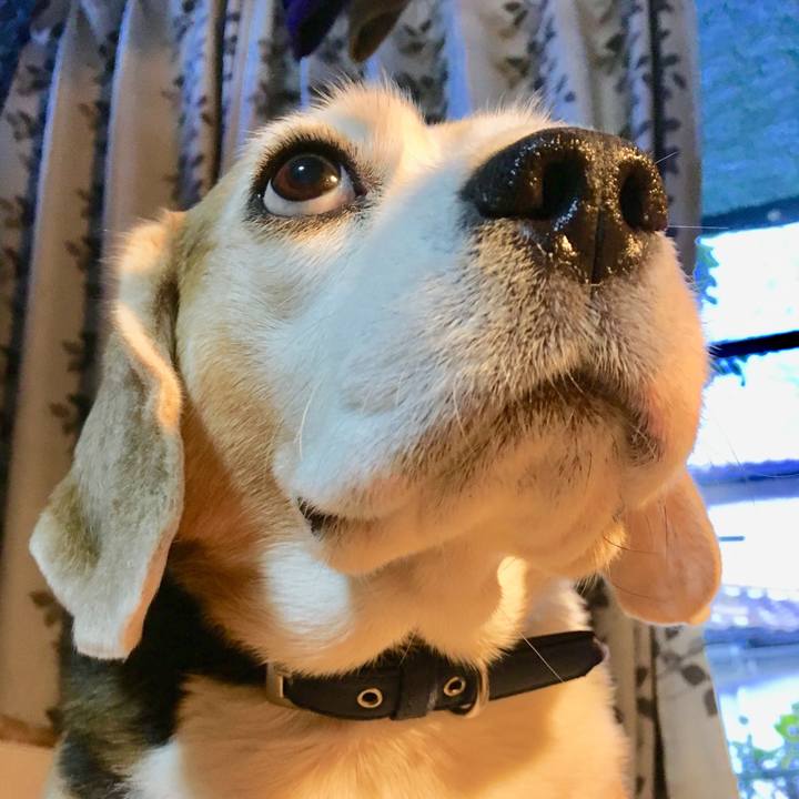 1a76d980 5a3c 4dad b266 03a2ee6f1337 1544942140731