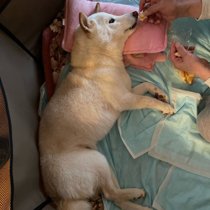 1a76e095 6f50 4172 88cf 34f1622d4cfc 1650818277971