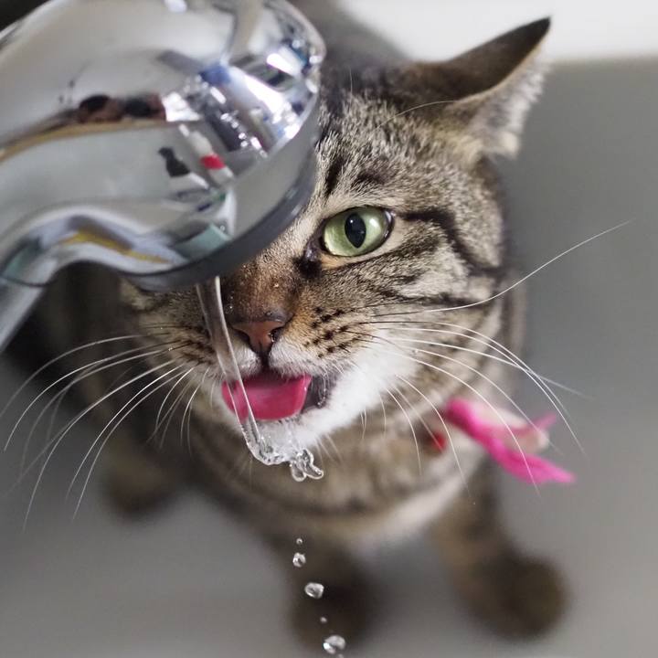 1a76f179 96c8 47b3 ad24 bf17e6ac1df4 1619303622674