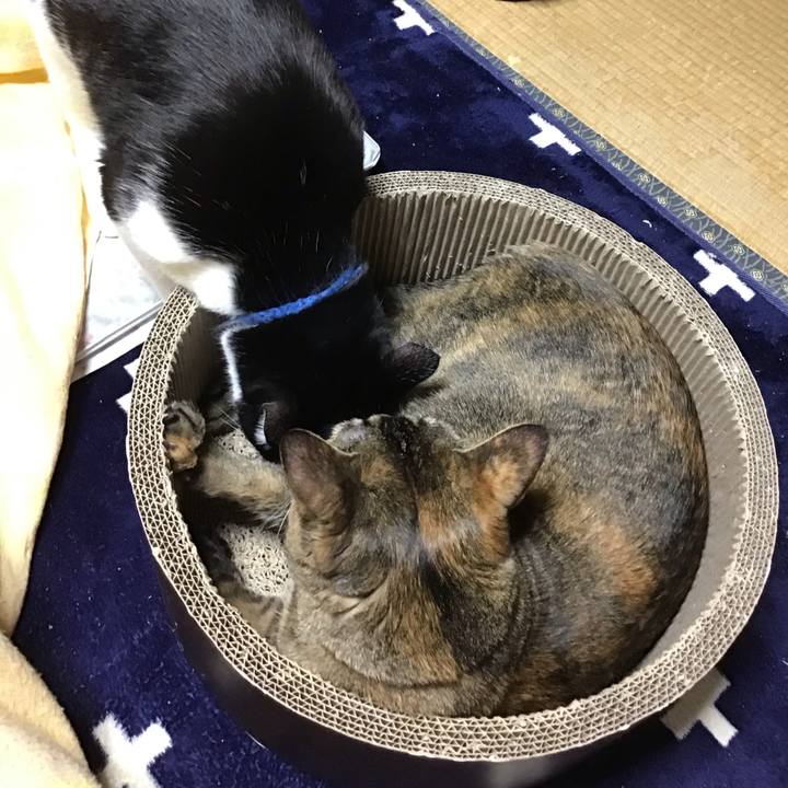 1a7742ca 0f04 41e9 bdbf d6e29c915a64 1708076588643