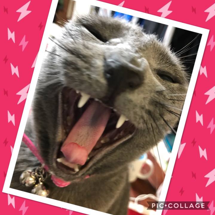 1a7746ec 9860 416f afe5 07936fd4bc18 1517295414913