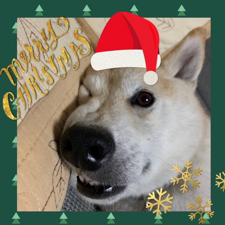 1a77c1aa 49e2 4923 b743 c27ce52fbf25 1545569680950