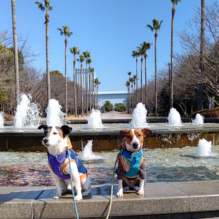 1a7862a6 c182 4526 b5a6 76e71106c1e9 1645935430664