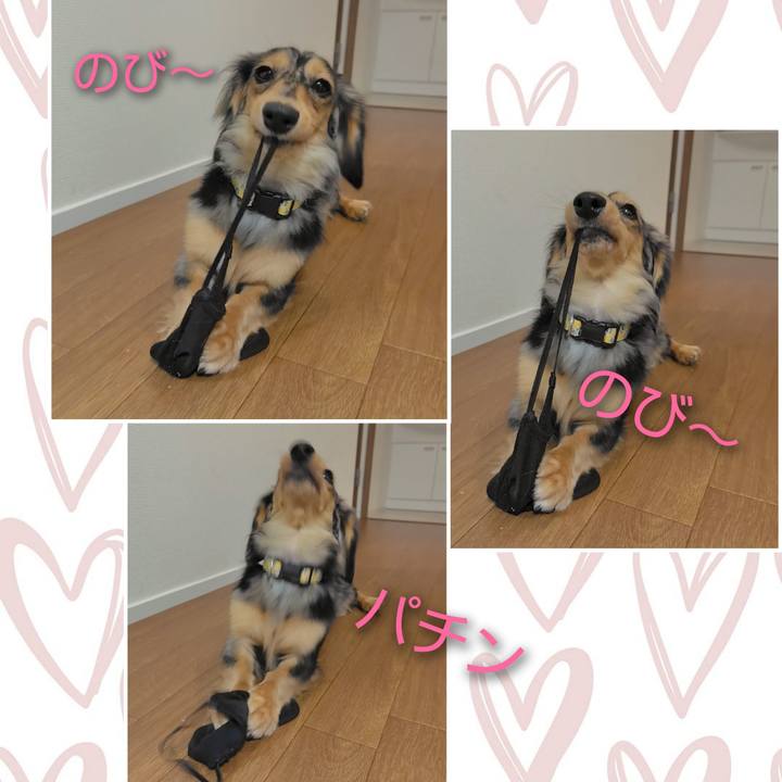 1a78a9fa 5ff2 40f3 8113 c90e61a9eecd 1727261588303