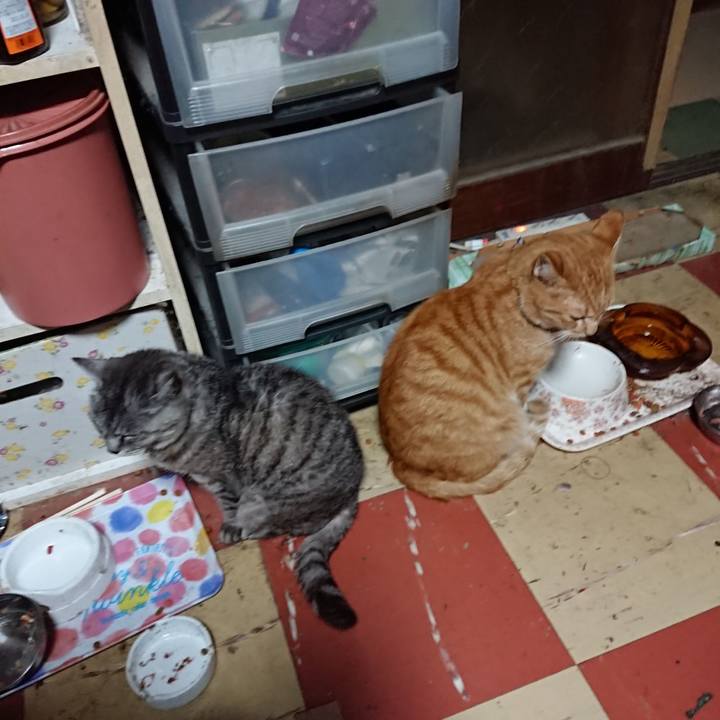 1a78bbf8 c6c2 4f4d bd13 17ae4756bbf2 1570913597446