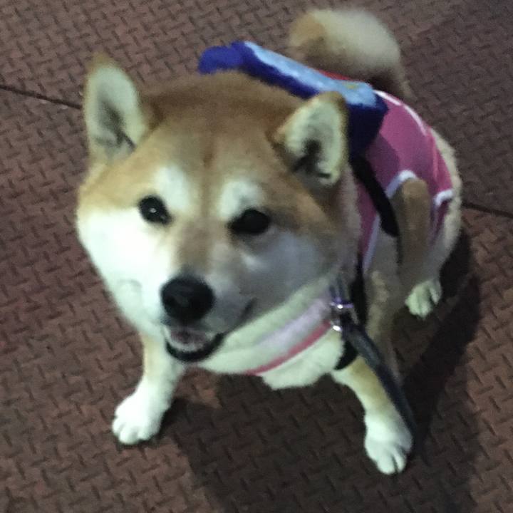 1a79033d 894a 49ba bdec ad7c8f71652c 1573118727188