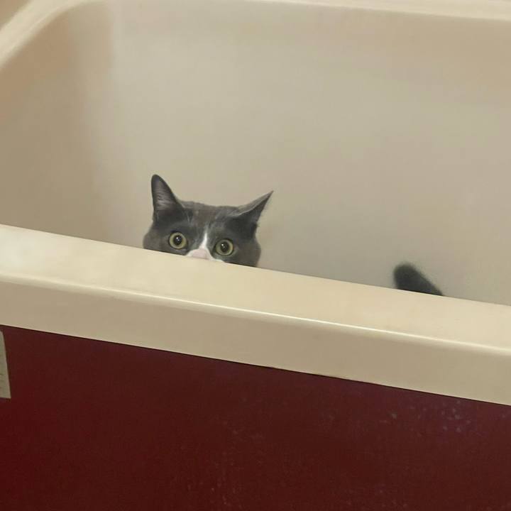 1a7923a0 b383 4bf9 8d28 c5fe7fb1881f 1675859229037