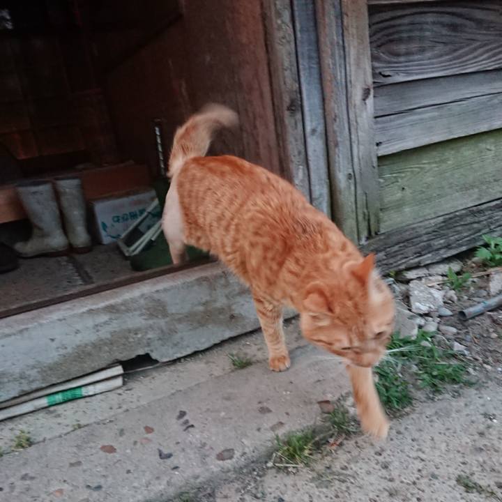 1a7931ce 03be 42dc 8913 700374eaf71f 1654080400386