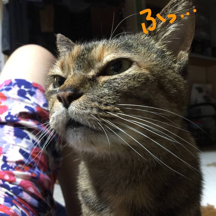 1a7971c2 fff7 4ba8 8f81 9e6727334a63 1528798662811