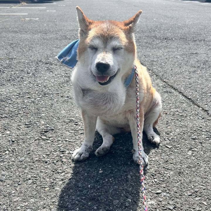 1a797b75 696a 49b8 920c 4e56d8bf8b93 1759894599406