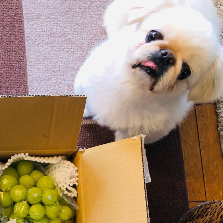 1a799617 723a 48ba bfa2 bc00bdd7b462 1631340162043