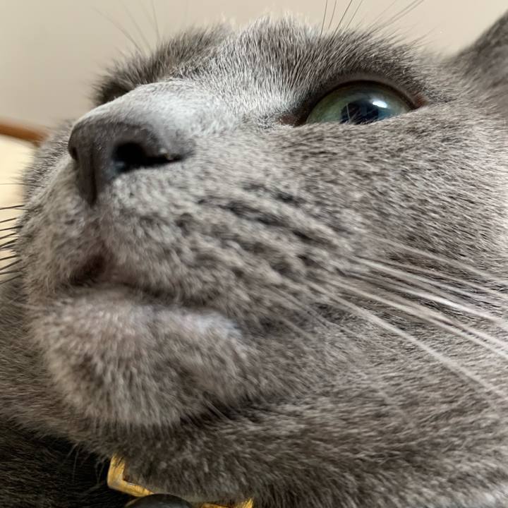 1a79b988 7c64 40c7 9919 695ea5fe93b9 1659144727988