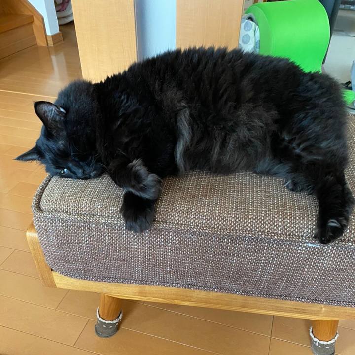 1a79c3ab 9473 4ada a847 817e50fb8eb4 1602480933961