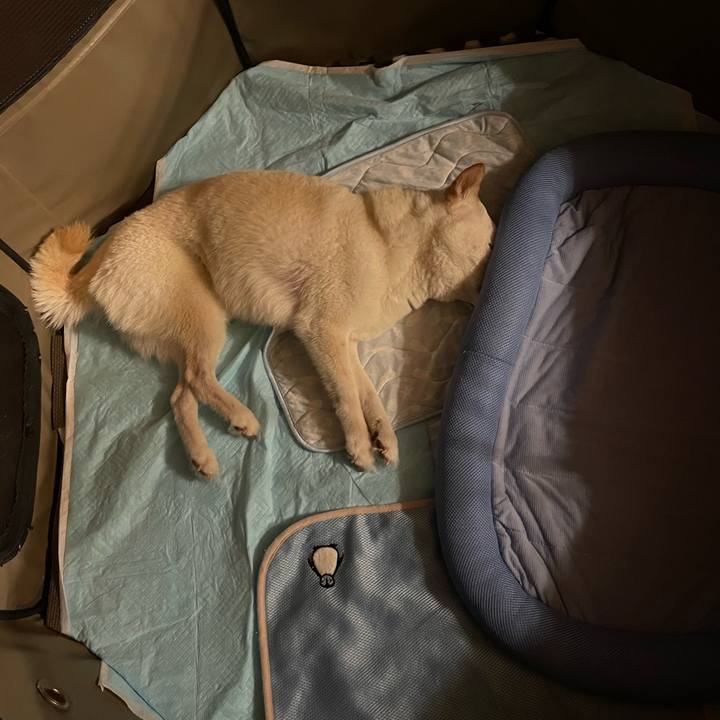 1a79f7fb c662 4651 864a 77ccc544438d 1659710125453