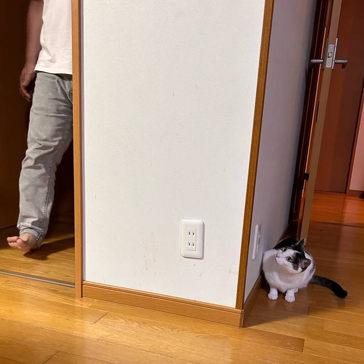 1a7a1a56 7588 4350 bd3b b2e428eee4ff 1719316528316