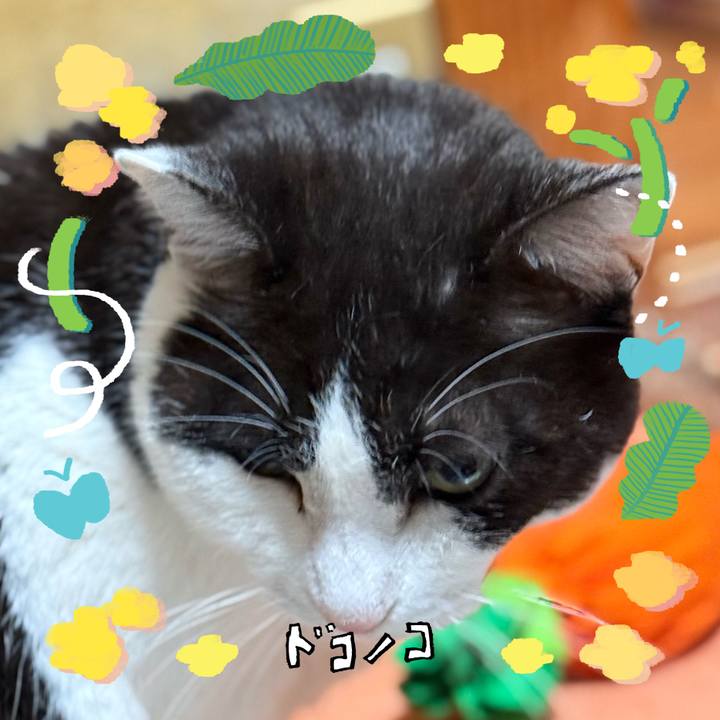 1a7a1d9b 43e5 48d6 8bcb f456e900e95c 1744422242512