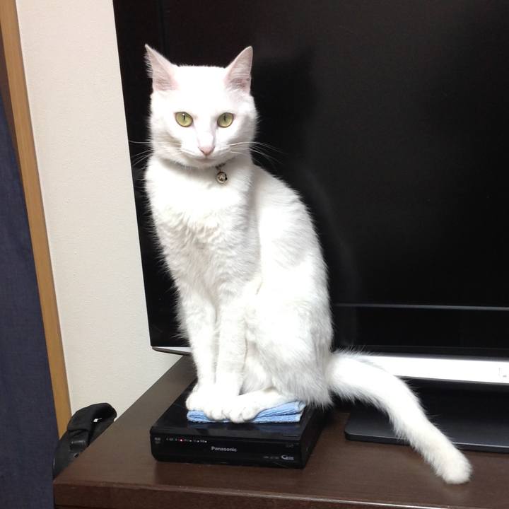 1a7a33c0 36ad 4536 b769 20d27459cf57 1659718768867