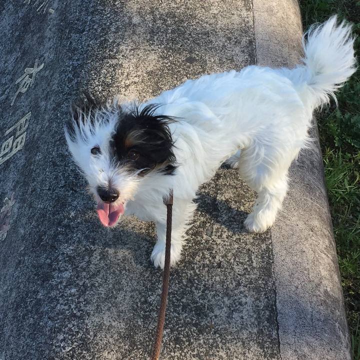 1a7a3c68 6849 42db b57f 7ea7ca7321cb 1509314697688