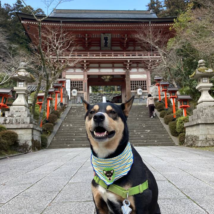 1a7a4c03 f791 4640 99f3 feb4b90e1fa0 1615375663999