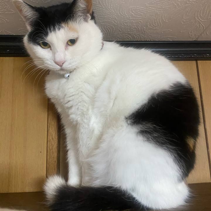 1a7aaf94 1b1f 4992 96e1 9b64bae2efb5 1650663376679