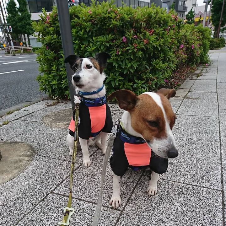 1a7abae2 ae6d 4184 91e3 1c7c4fff5b67 1589580047133