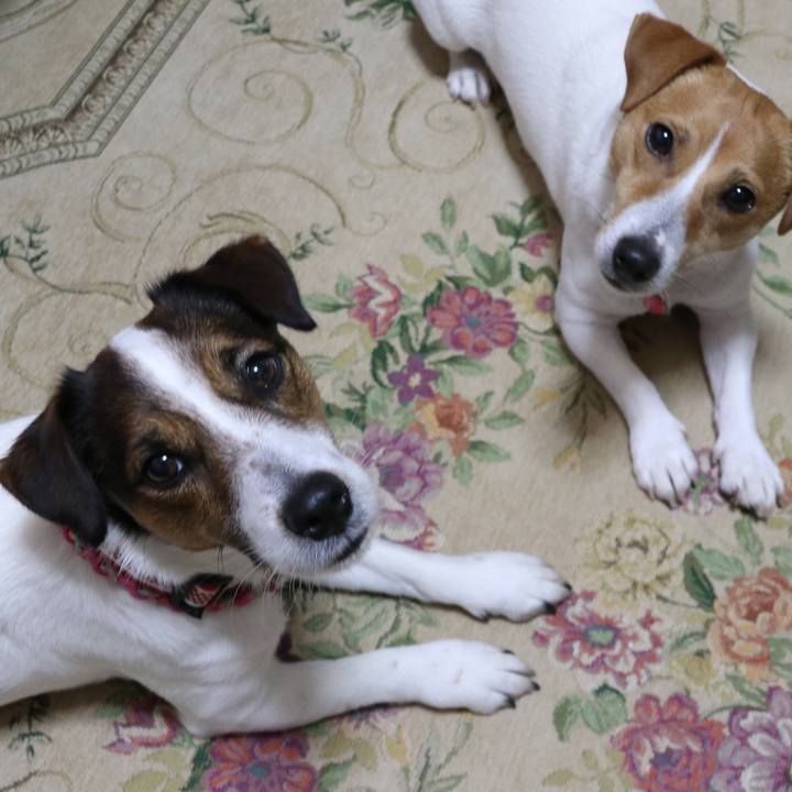 1a7addc5 cc04 41f3 940b ea07fb32bfe9 1522274702793