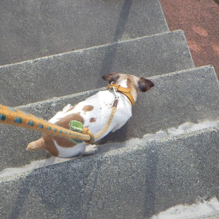 1a7ae67b f593 4a9b bbe8 63d9dedd3884 1555069379630