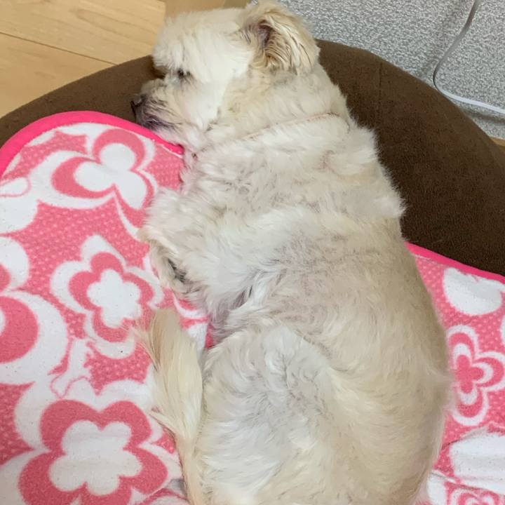 1a7af8fb 5359 4db5 b8db 857d906c2016 1635159483714