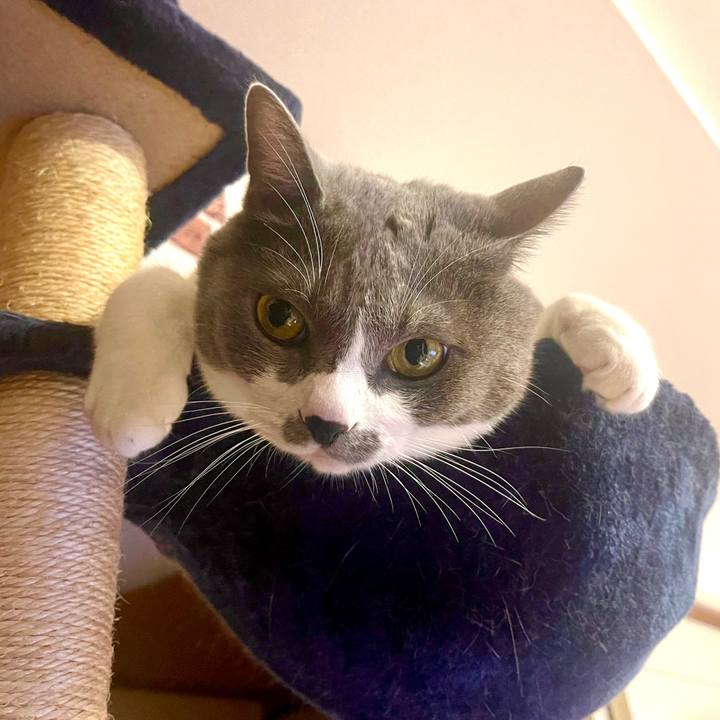 1a7aff89 0474 41cc bf56 eae461ece5a0 1664267093195