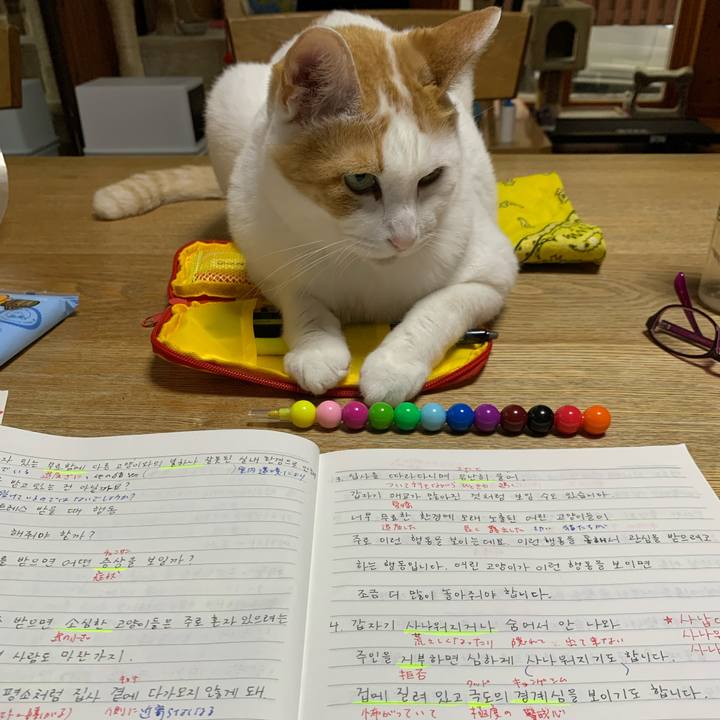 1a7b0892 52ad 4cbb a886 2bd7326d7a41 1622840900580