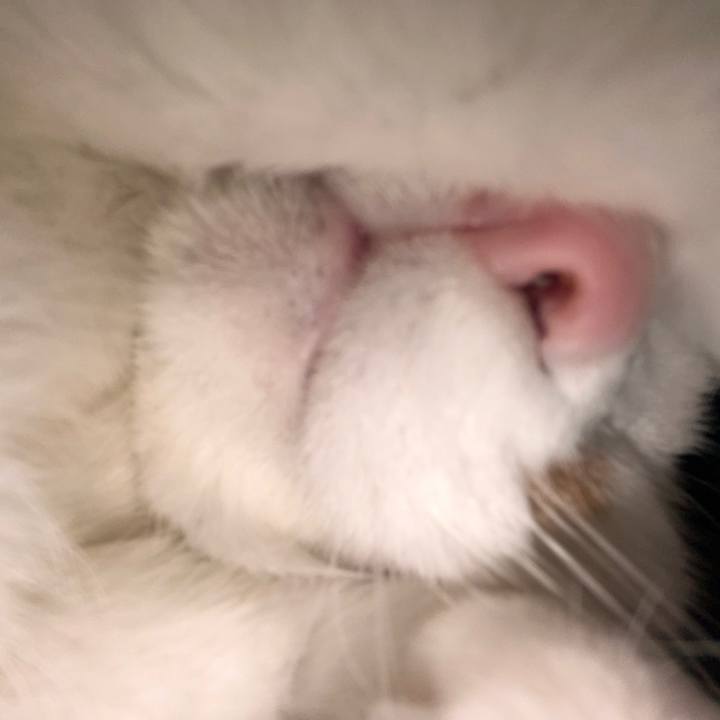 1a7b1aa7 8a1e 43ea 8e2d 9501d680f144 1761210150618