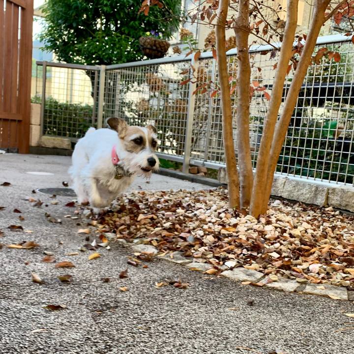 1a7b203d b97c 4878 96a7 39e970acb981 1605471058050