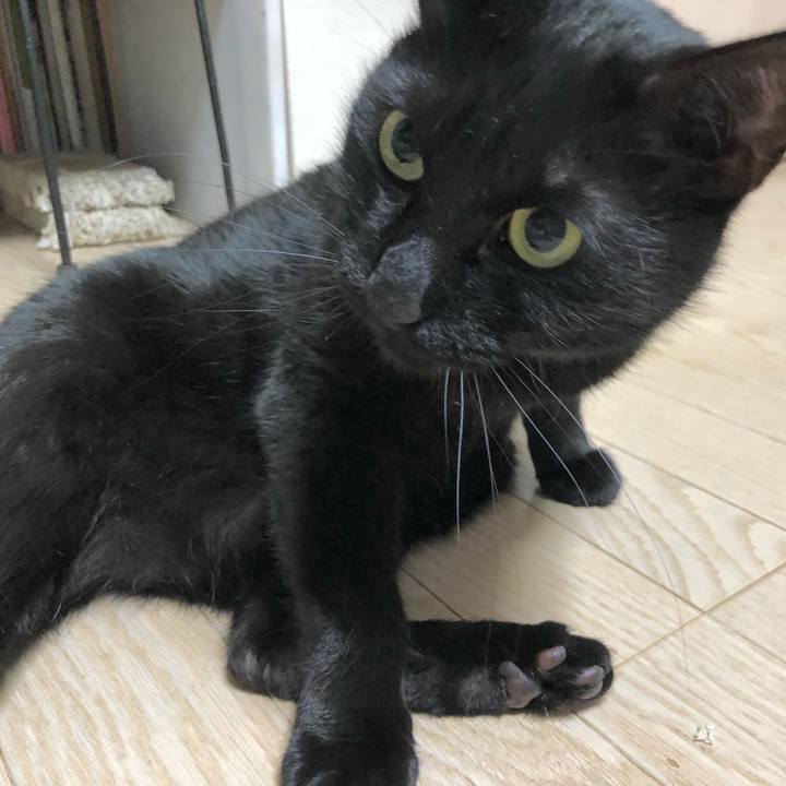 1a7b2911 e288 460c 8193 cf6e639a97a7 1610195819436