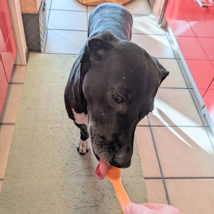 1a7b3a63 9260 4beb 86bf 2007a70c64f8 1643678251595